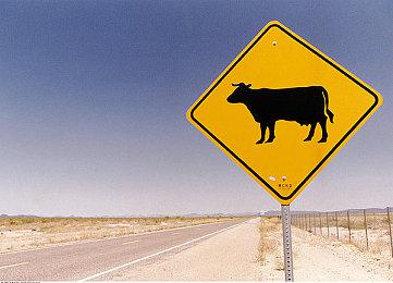 前《Apex英雄》《泰坦陨落》主创成立新工作室